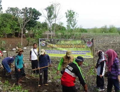 Penanaman pohon