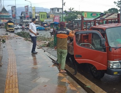 pangkas pohon bunderan sukorejo
