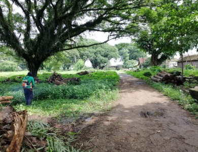 persiapan peresmian gapura