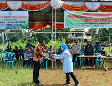 Hari menanam pohon