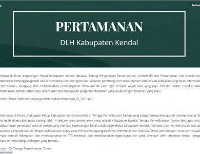google site taman